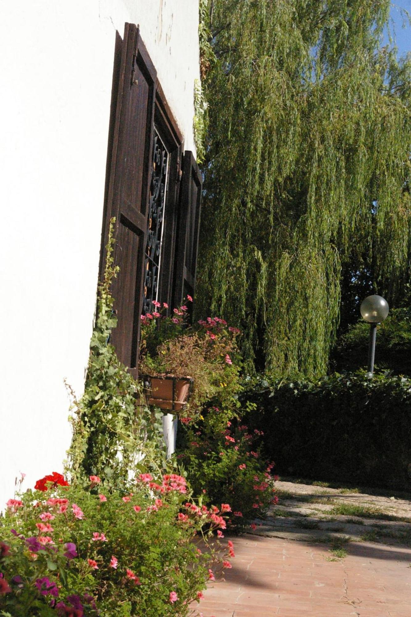 B&B Villa Sans Souci Civitavecchia Exterior foto