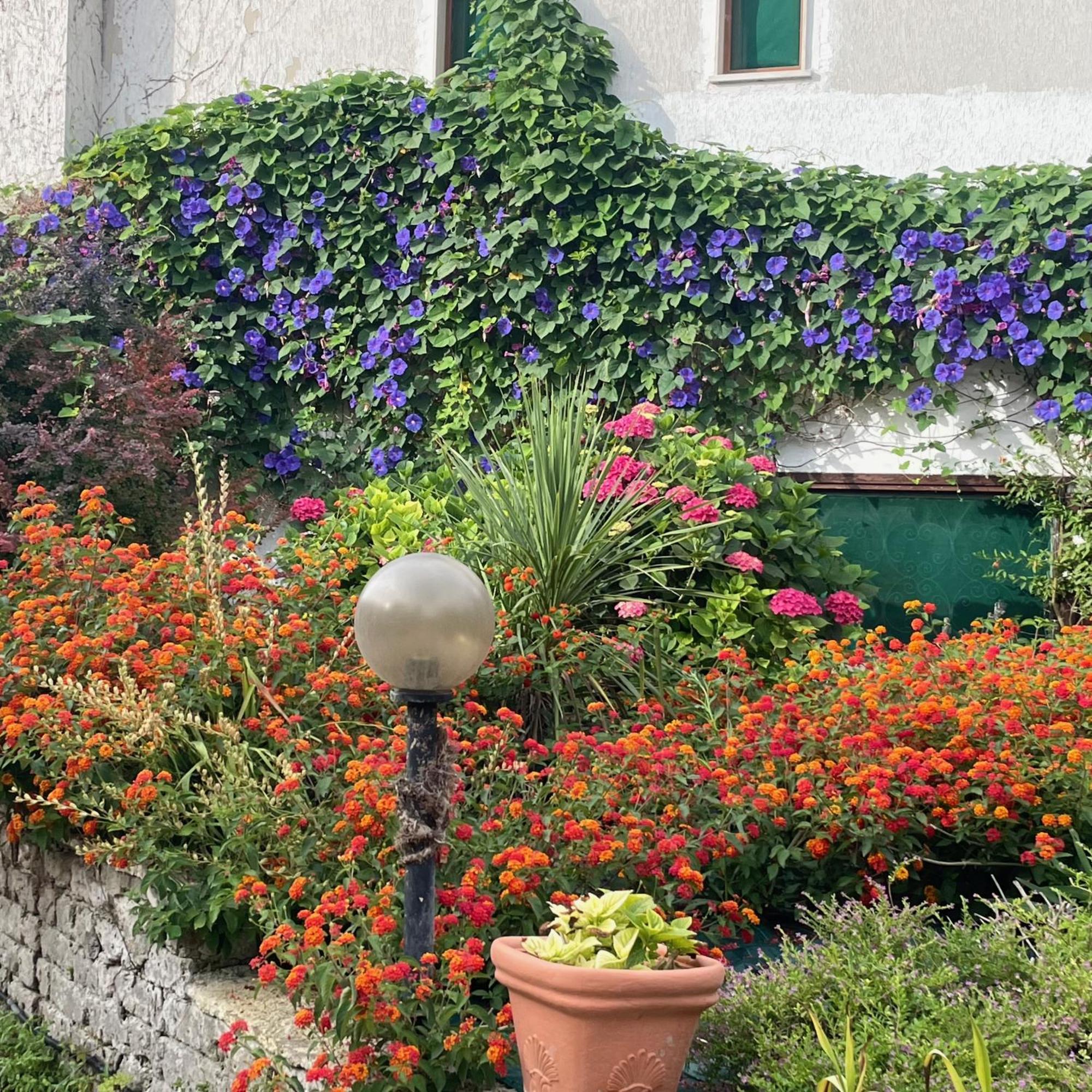 B&B Villa Sans Souci Civitavecchia Exterior foto