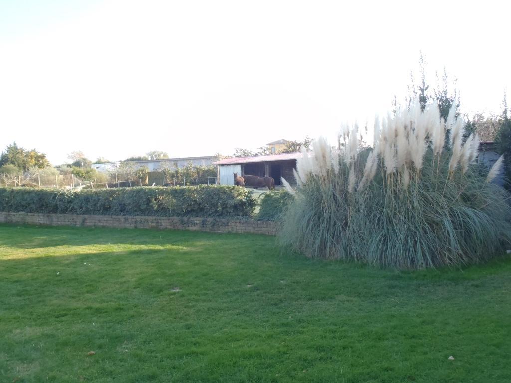 B&B Villa Sans Souci Civitavecchia Exterior foto